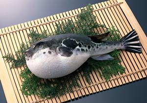 グルテンフリーのパンが食べたいときは