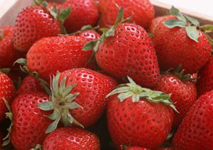 新宿で厳選された牡蠣とイタリア料理を楽しめるオイスターバー「Oyster Bar ジャックポット 新宿」