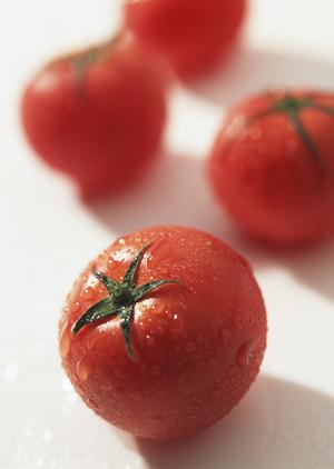 岡山県津山市の老舗お弁当屋「つるや」：地域に愛される仕出し弁当と惣菜の魅力